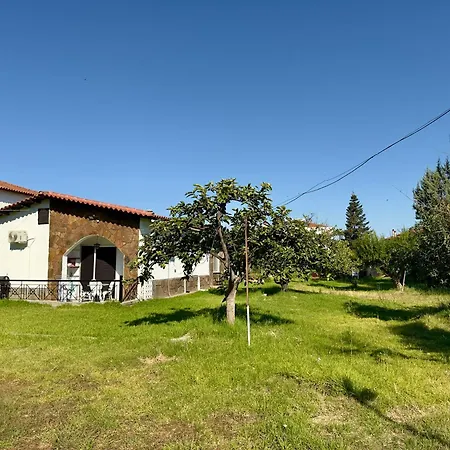 House نيكيتي